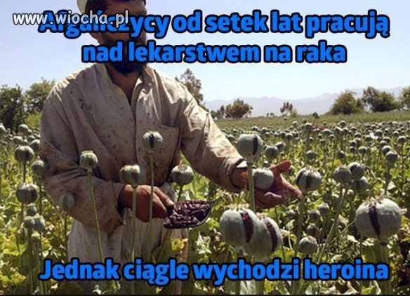 Same trudności...?