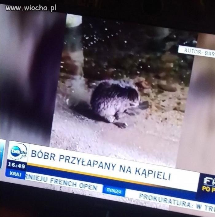 News dnia