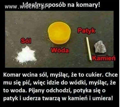 Jedyny skuteczny