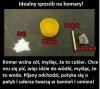 Jedyny skuteczny