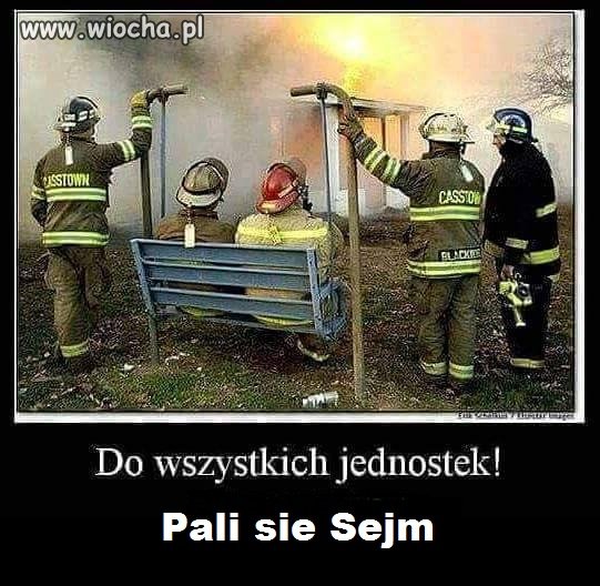 Do wszystkich jednostek