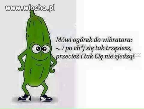 Mówi ogórek