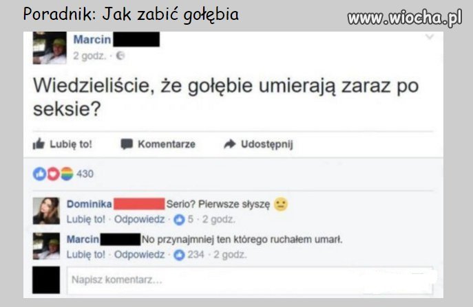 Poradnik