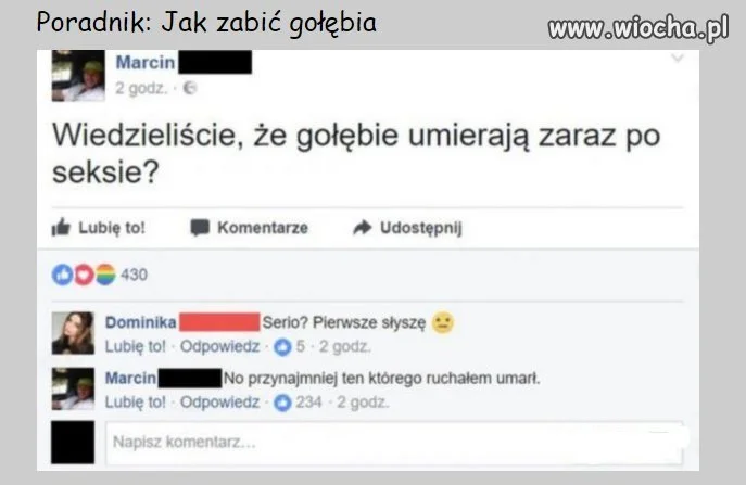 Poradnik