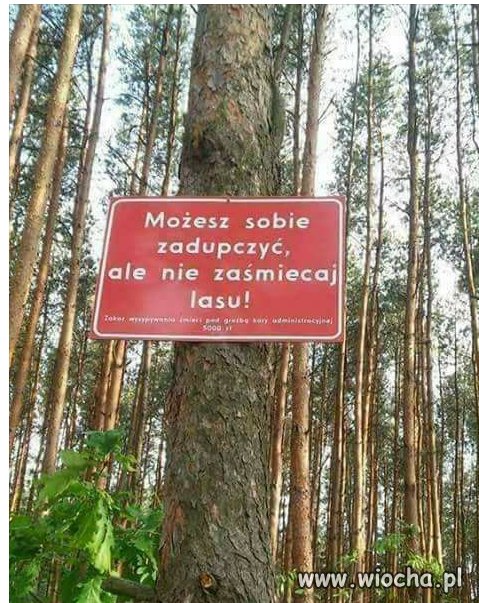 Szyszko tego