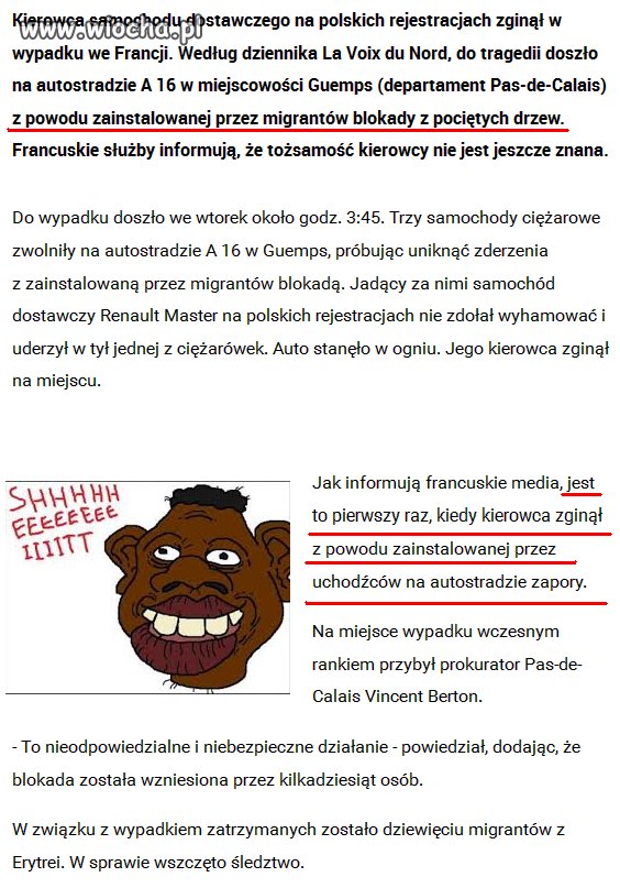 W TVN obwinią za to bobry.