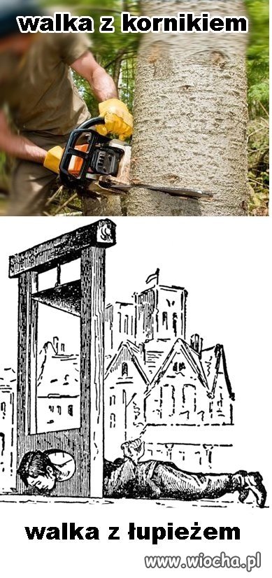 Tak to widzę 