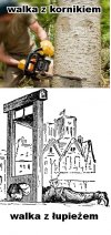 Tak to widzę 