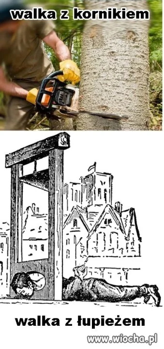 Tak to widzę 