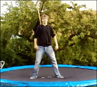 Ninja