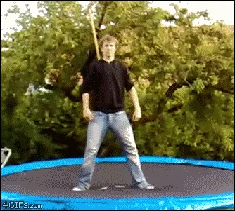 Ninja