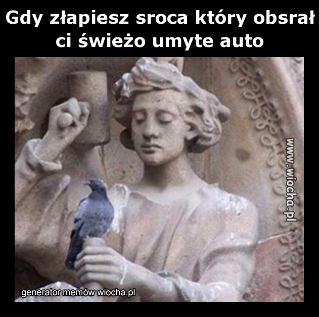 Gdy złapiesz sroca który obsrał