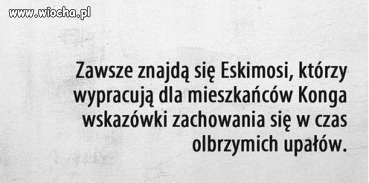 Prawdę piszą 