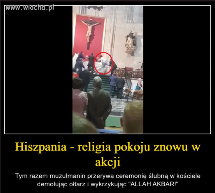 Bo przecież oni przyjmą nasze wartości
