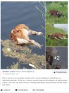 Znalezione na FB