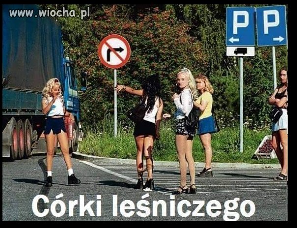 Szyszko przedstawił Błaszczakowi