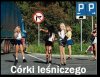 Szyszko przedstawił Błaszczakowi
