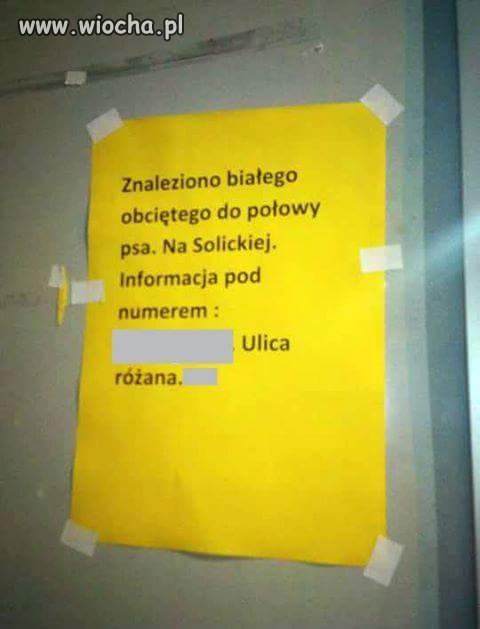 Wielka zagadka 
