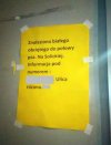 Wielka zagadka 