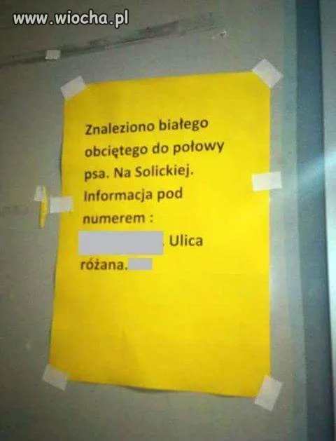 Wielka zagadka 
