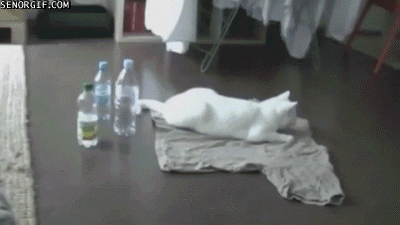 Ha ha ha. 