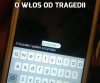 O włos