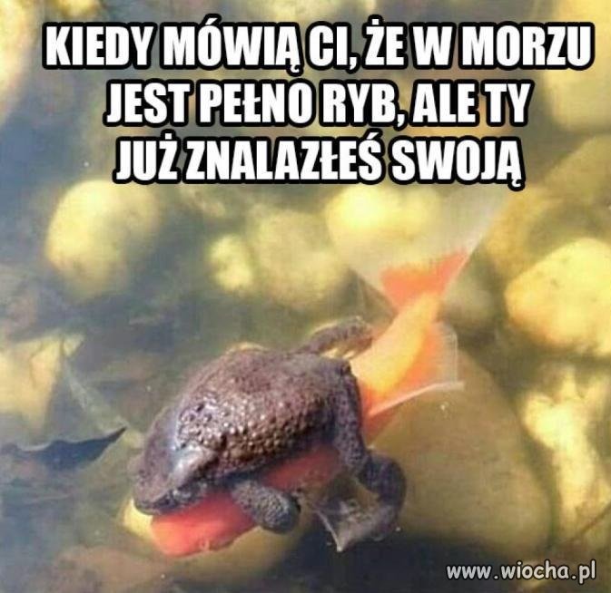 Ta jedyna