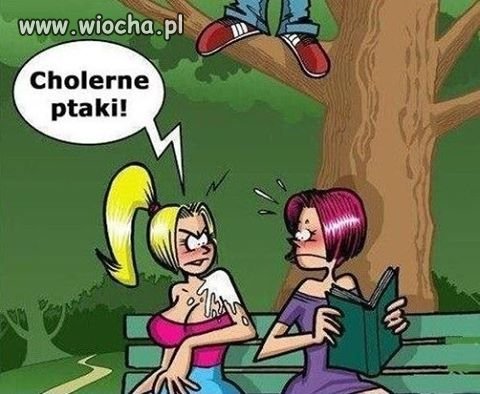 Cholerne