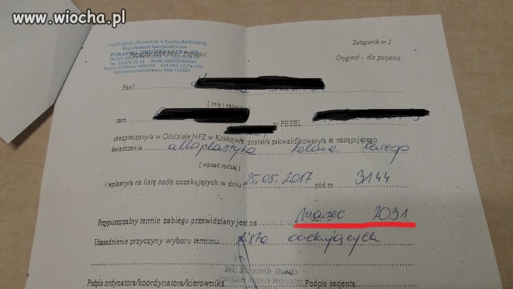 Trzeba mieć końskie zdrowie, żeby chorować...