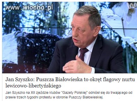 Trzeba wyciąć bo korzenie