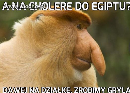 Sezon grylowy