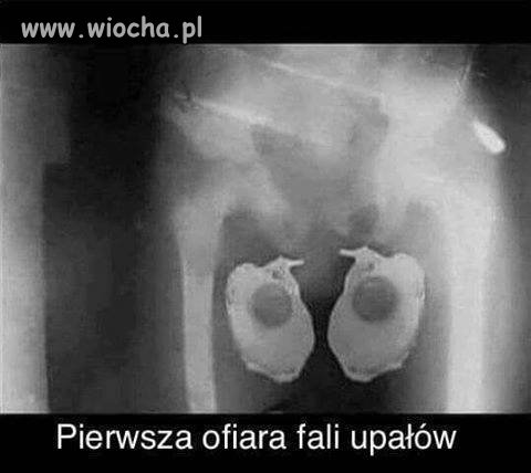 Fala upałów