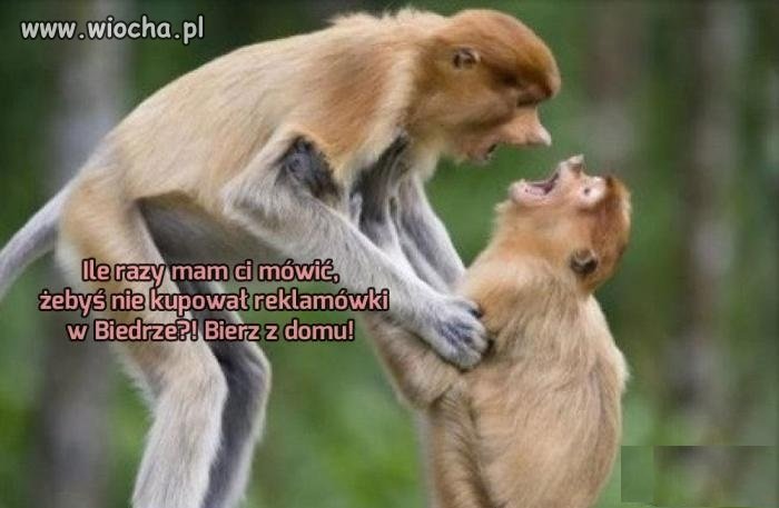 To je zmarnowany piniondz!