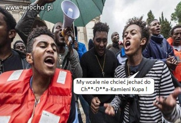 Ważny głos nachodźców w kwestii relokacji.