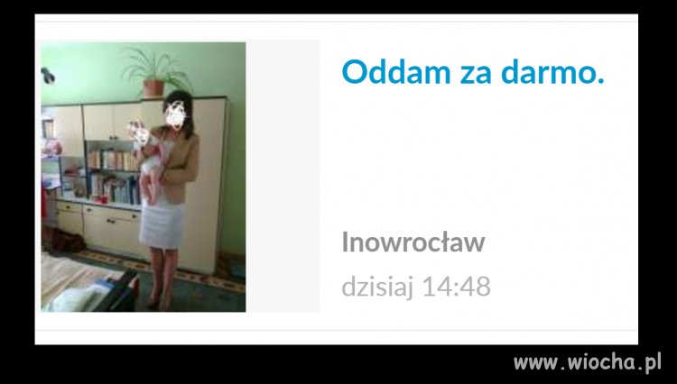 Tymczasem na OLX...