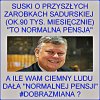 Powiedz to Polakom co zarabiaja 1450 zł...