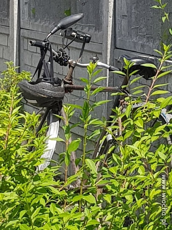 Rower z radiem cb? 