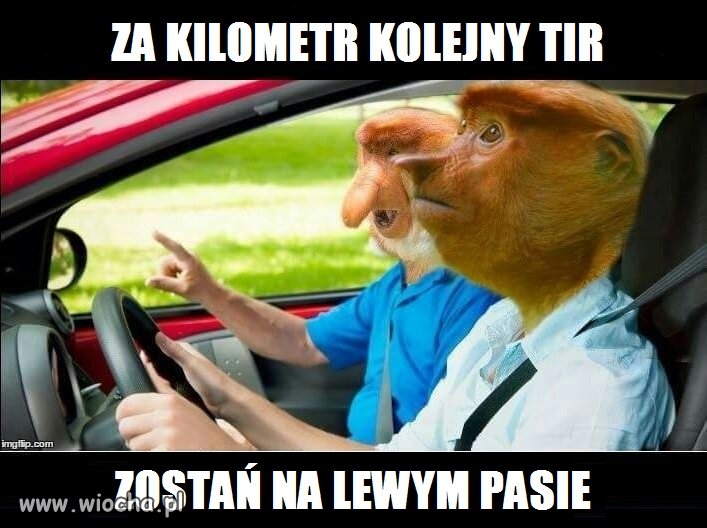 Pozdrawiam wszystkich tych