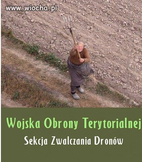 Przygotowania do wojny z Rosją