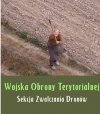 Przygotowania do wojny z Rosją