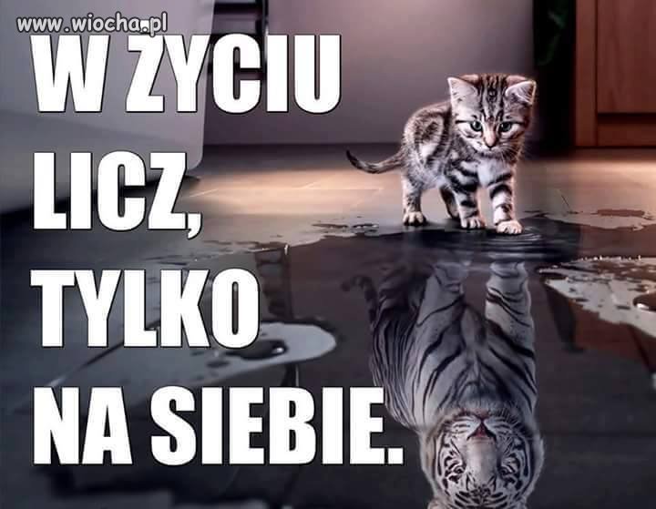 Dobra zasada.