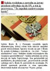 Kpina z prawa i sprawiedliwości