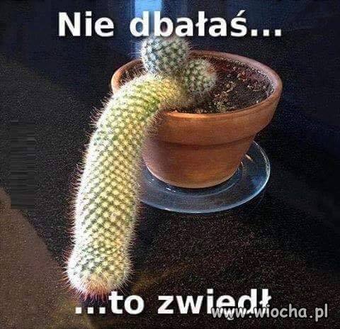 Nie dbałaś