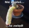 Nie dbałaś