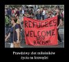 Dla mnie oni są zwyczajnie głupi