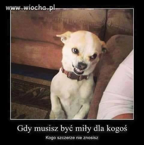 Coś w tym jest.