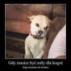 Coś w tym jest.