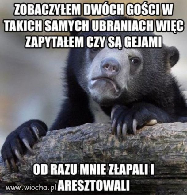 Bez odpowiedzi...?