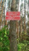 Tylko zużyte gumki