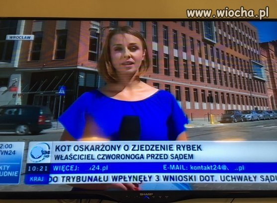 Istotne problemy społeczne